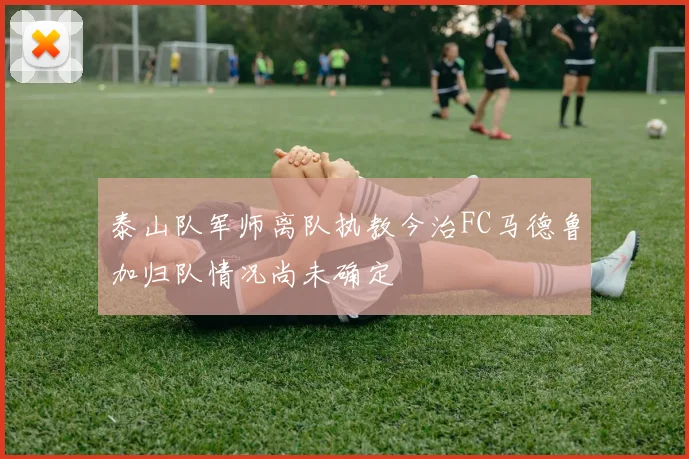 泰山队军师离队执教今治FC马德鲁加归队情况尚未确定