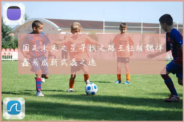国足未来之星寻找之路王钰栋魏祥鑫或成新武磊之选